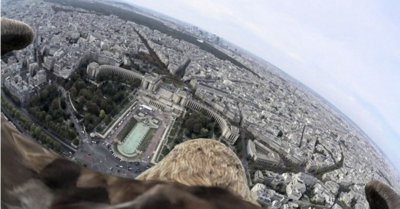 action cam economiche